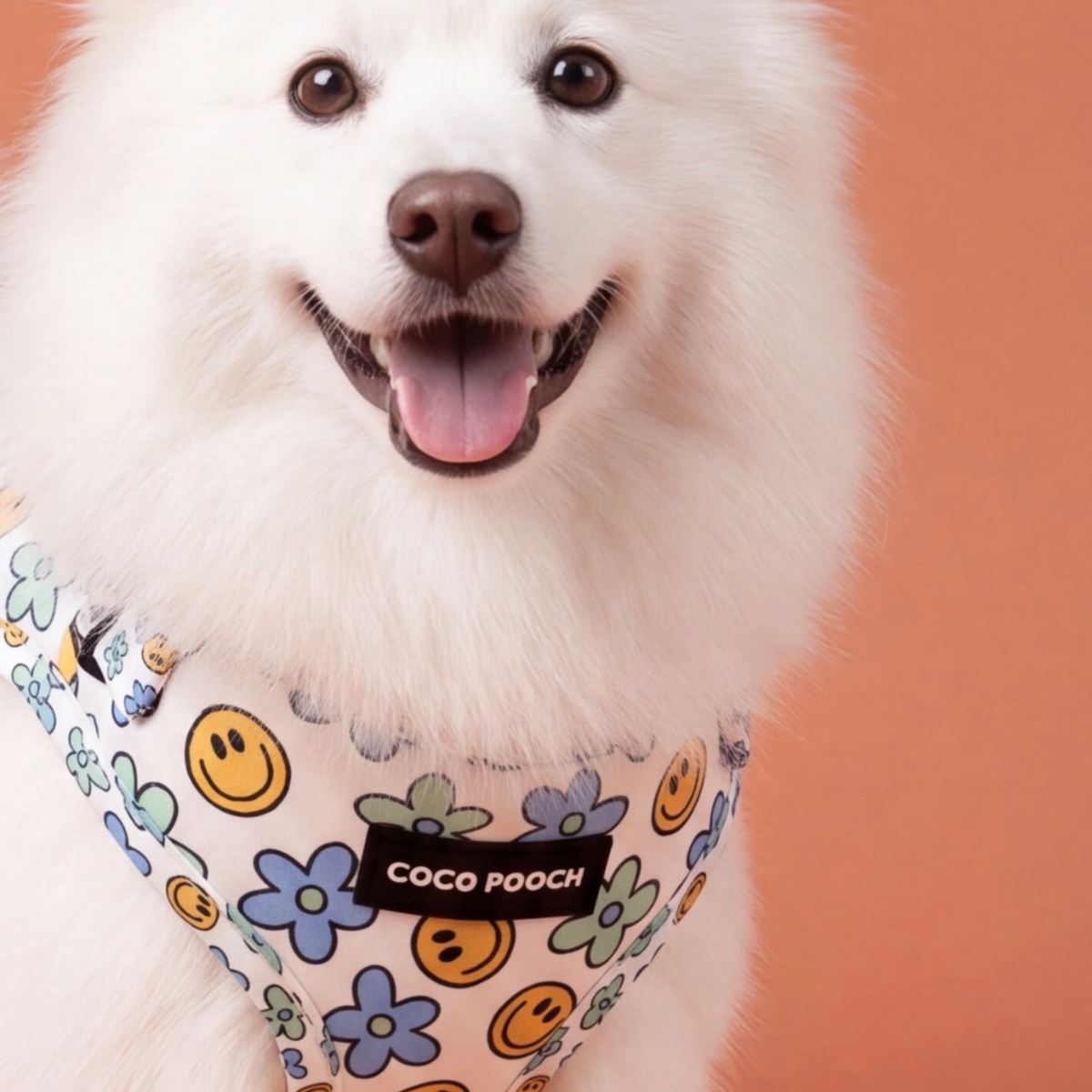 Happy Petals Dog Harness