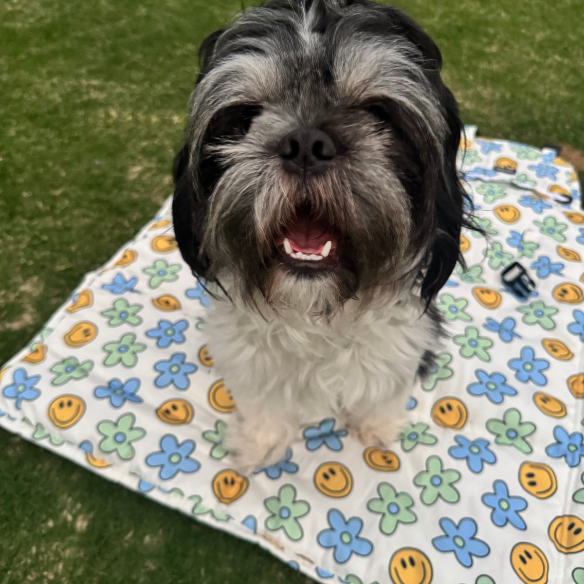 Happy Petals Dog Travel Mat