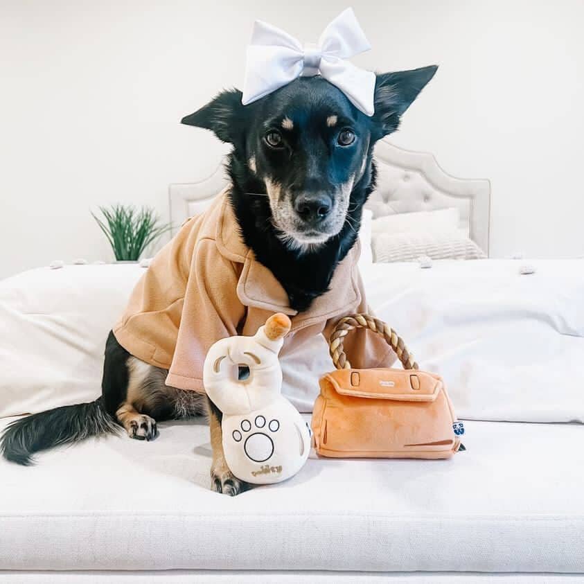 888 Tequila Plush Dog Toy