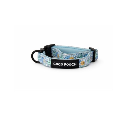 Summer Splash Dog Bundle Harness, Collar & Lead