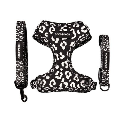 Midnight Safari Dog Bundle Harness, Collar & Lead
