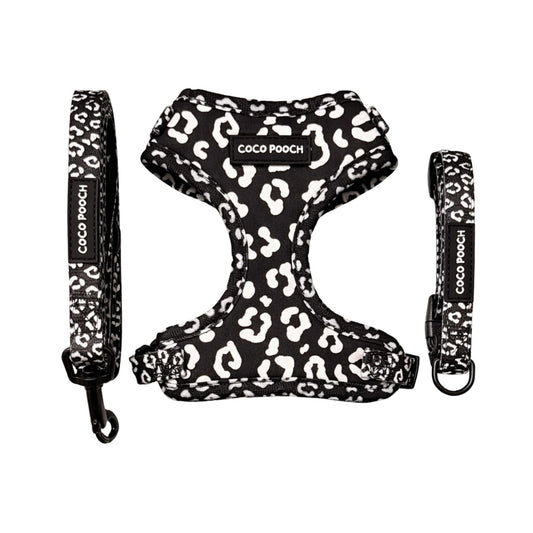 Midnight Safari Dog Bundle Harness, Collar & Lead
