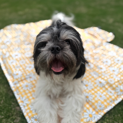 Sunny Blooms Dog Travel Mat