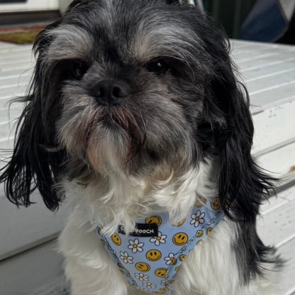 Sky Blooms Dog Harness