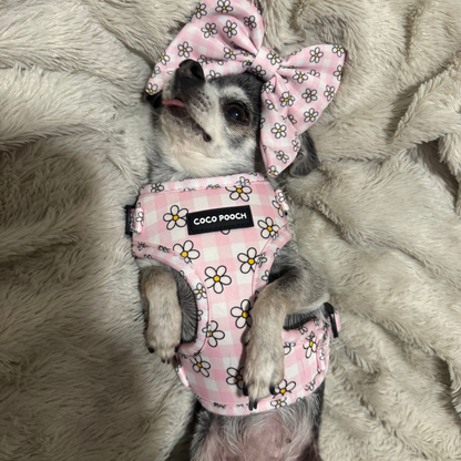 Blush Blooms Dog Harness