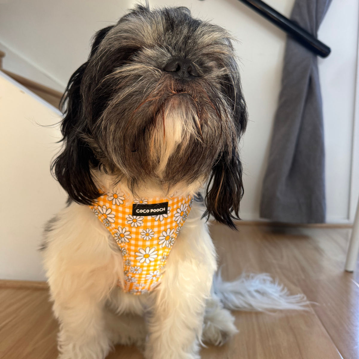 Sunny Blooms Dog Harness