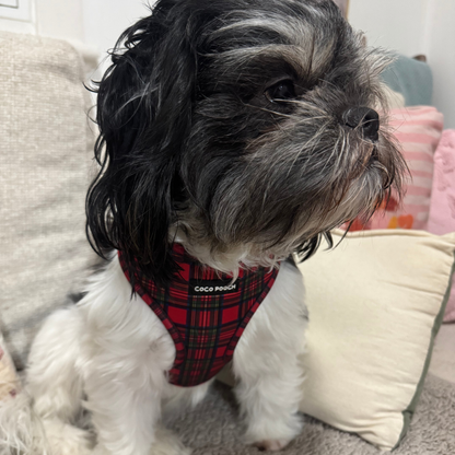 Tartan Treats Dog Harness