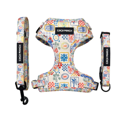 Riviera Bites Dog Bundle Harness, Collar & Lead