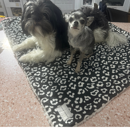 Midnight Safari Dog Blanket