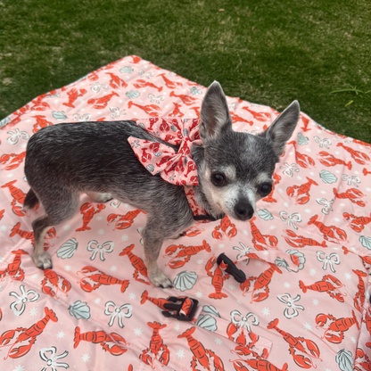 Lobster Love Dog Sailor Bow