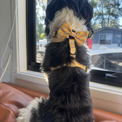Sunny Blooms Dog Bow Tie