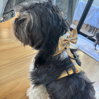 Sunny Blooms Dog Bow Tie