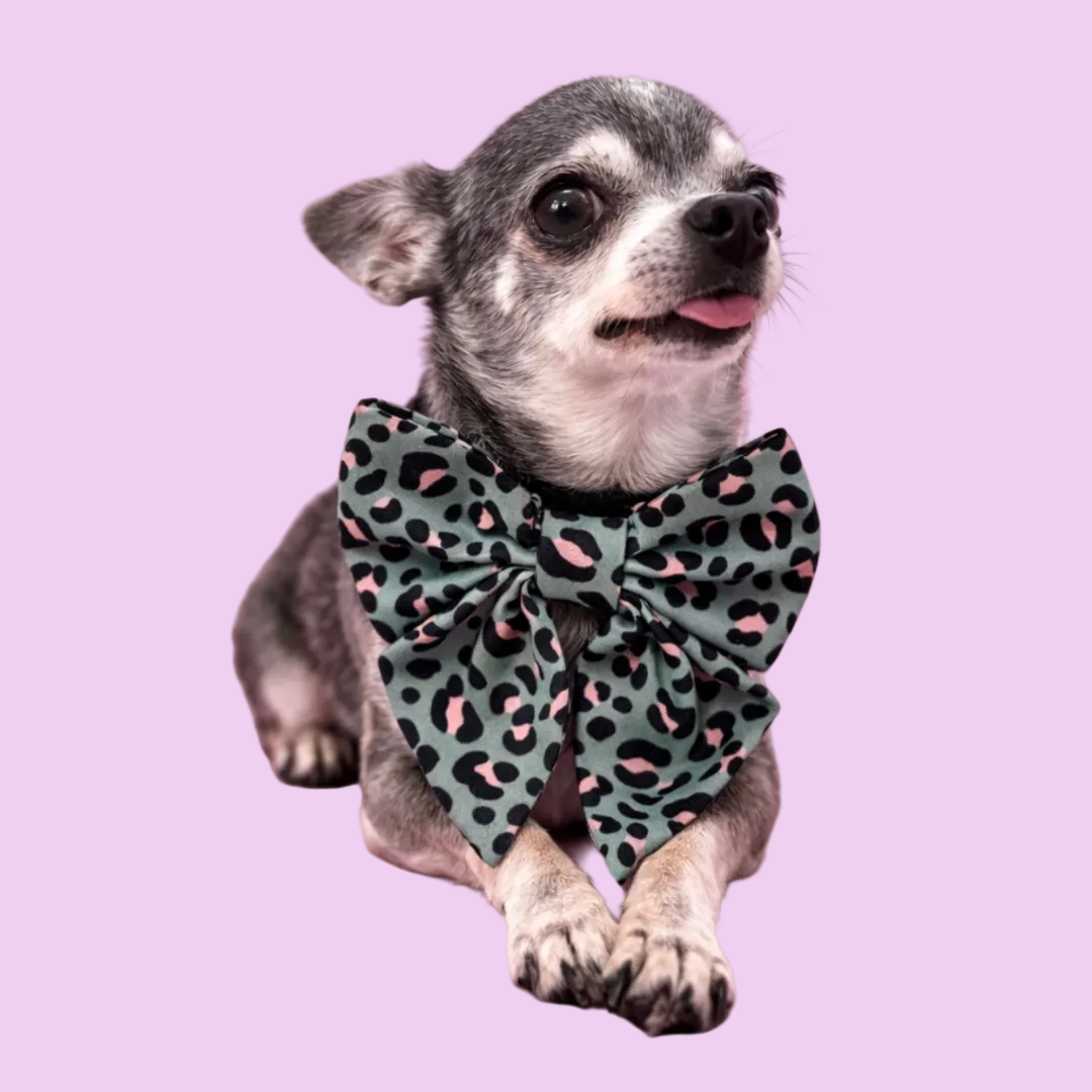 Sage Safari Dog Sailor Bow