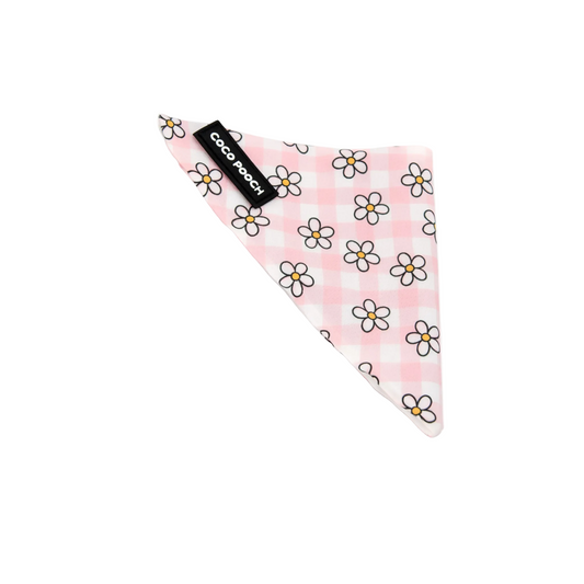 Blush Blooms Dog Bandana