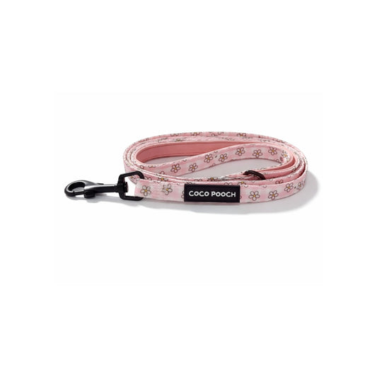 Blush Blooms Dog Lead