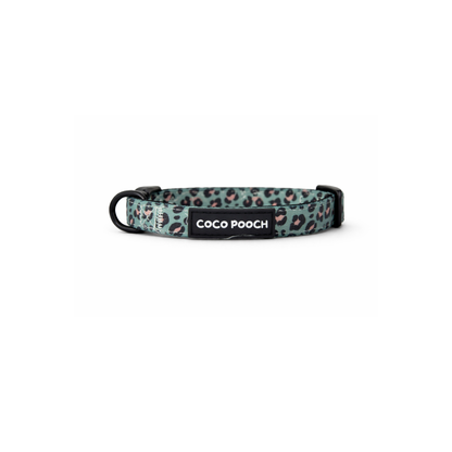 Sage Safari Dog Bundle Harness, Collar & Lead