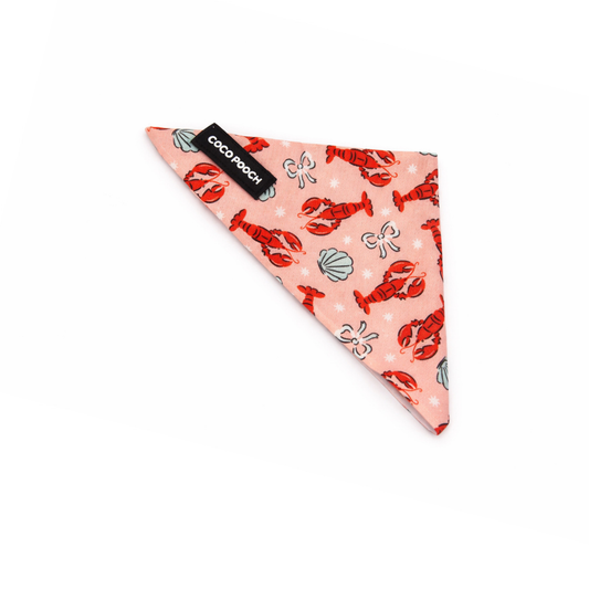 Lobster Love Dog Bandana