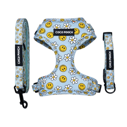 Sky Blooms Dog Bundle Harness, Collar & Lead