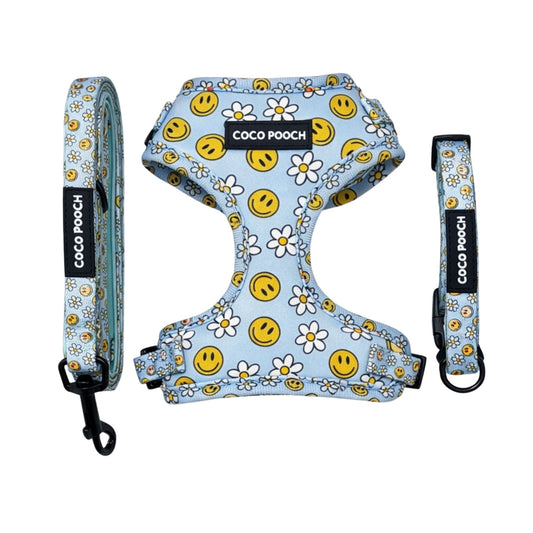 Sky Blooms Dog Bundle Harness, Collar & Lead