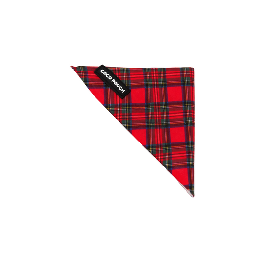 Tartan Treats Dog Bandana