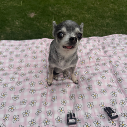 Blush Blooms Dog Travel Mat
