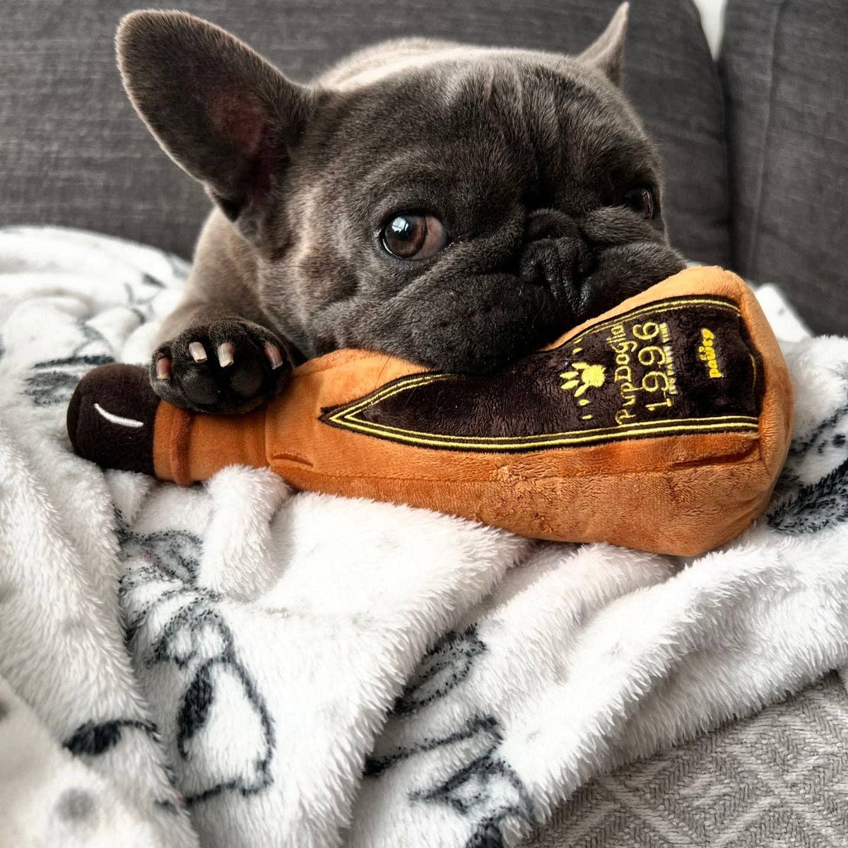1996 Tequila Dog Toy