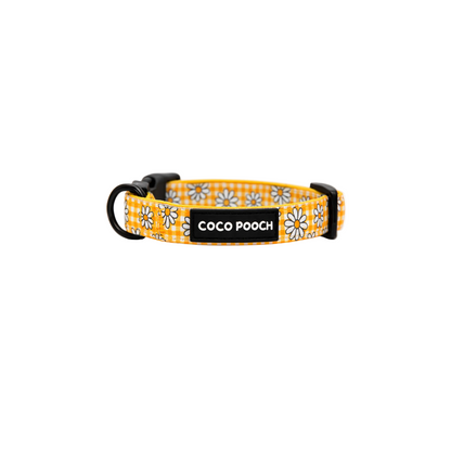 Sunny Blooms Dog Bundle Harness, Collar & Lead