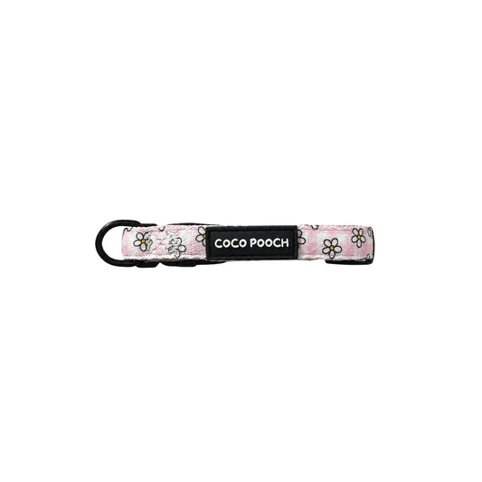 Blush Blooms Dog Collar
