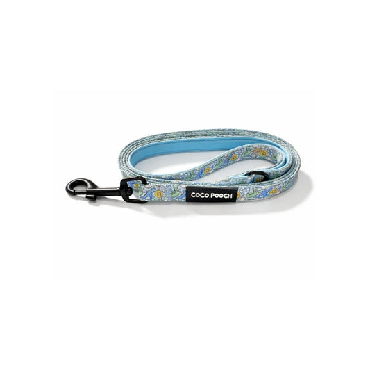 Summer Splash Dog Lead