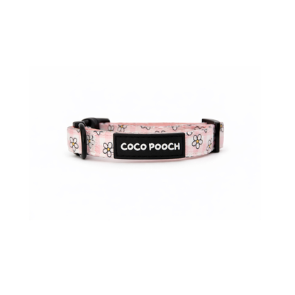 Blush Blooms Dog Bundle Harness, Collar & Lead