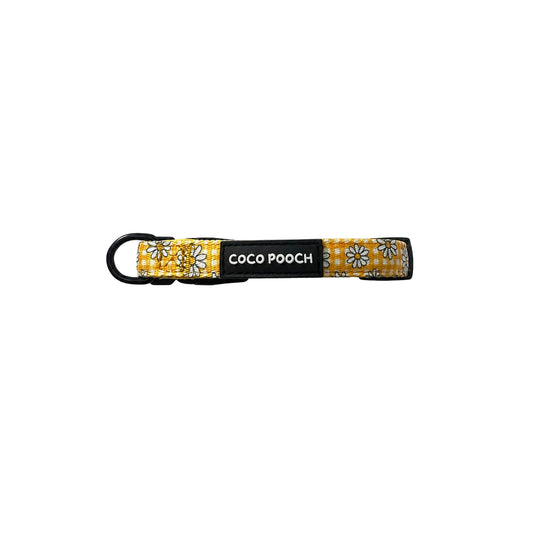 Sunny Blooms Dog Collar