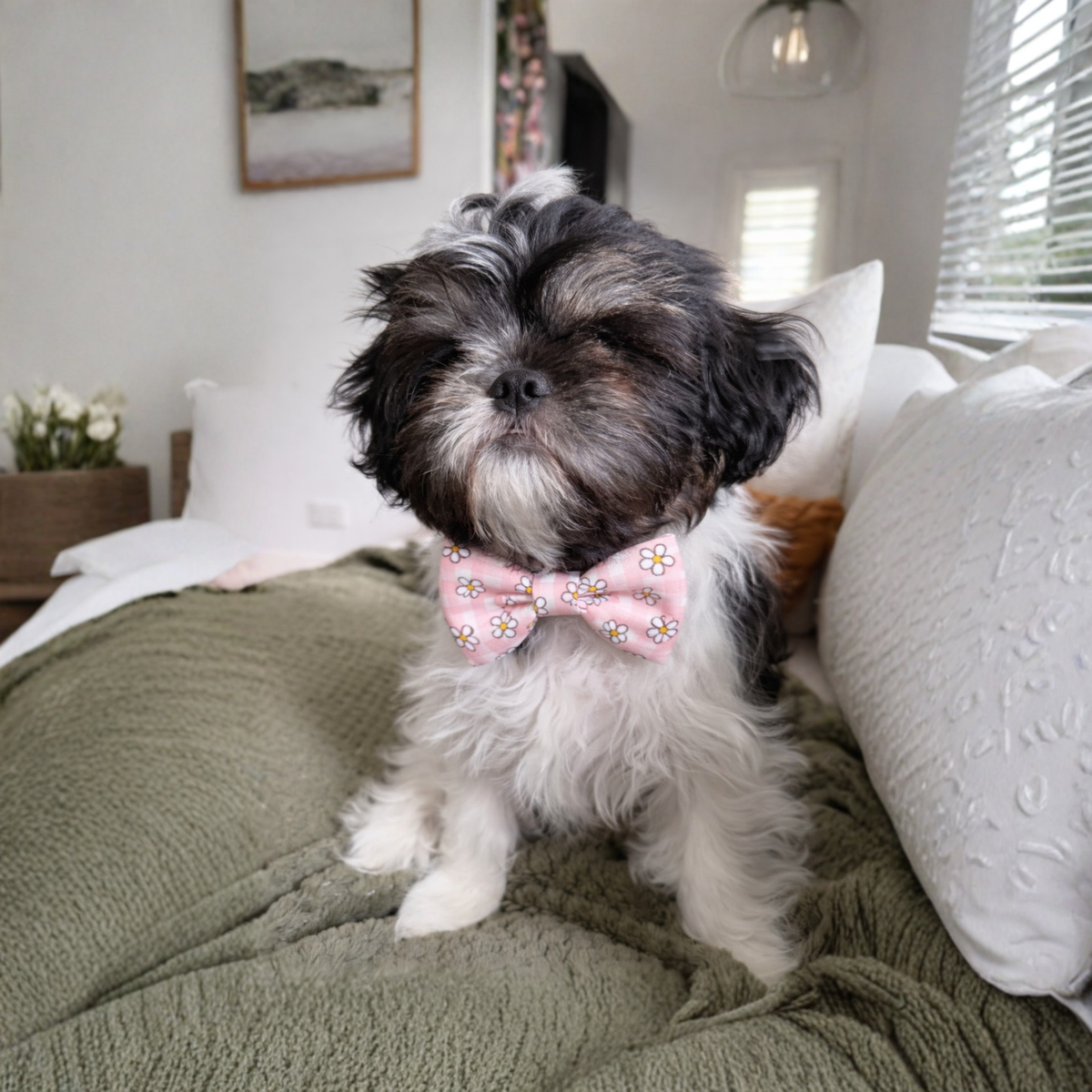 Blush Blooms Dog Bow Tie