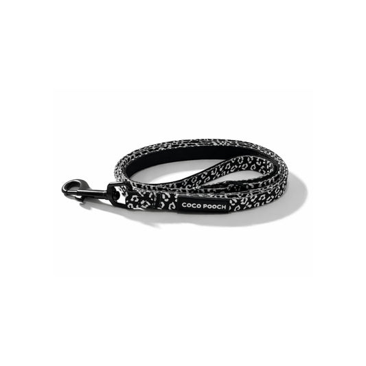 Midnight Safari Dog Lead