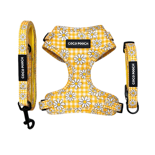 Sunny Blooms Dog Bundle Harness, Collar & Lead