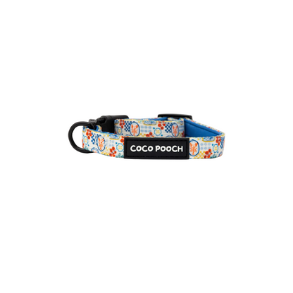 Riviera Bites Dog Bundle Harness, Collar & Lead
