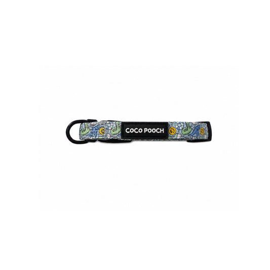 Summer Splash Dog Collar