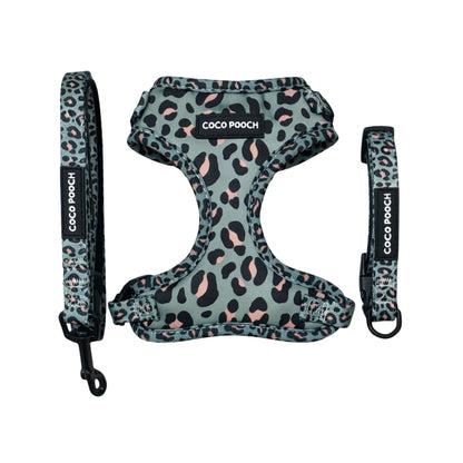 Sage Safari Dog Bundle Harness, Collar & Lead