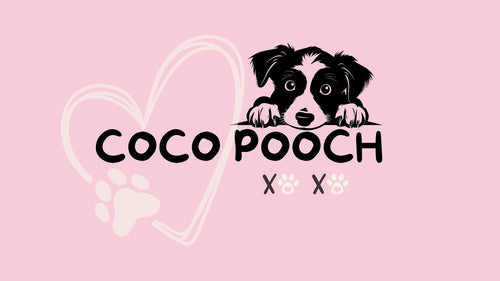 Coco Pooch 🐾
