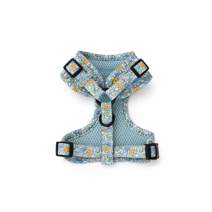 Summer Splash Dog Bundle Harness, Collar & Lead