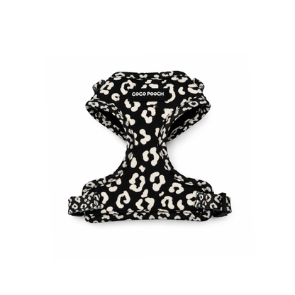 Midnight Safari Dog Harness