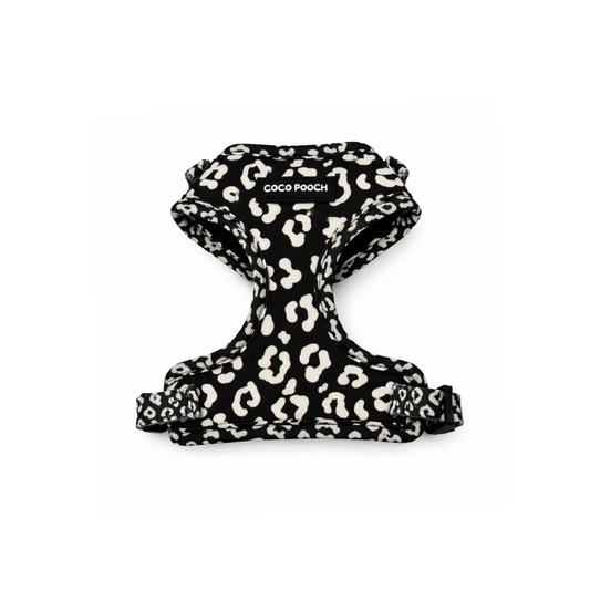 Midnight Safari Dog Harness