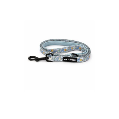Summer Splash Dog Bundle Harness, Collar & Lead