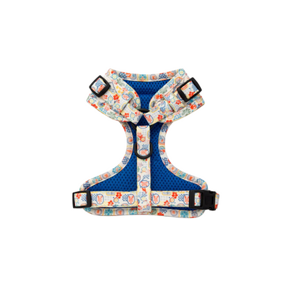 Riviera Bites Dog Bundle Harness, Collar & Lead