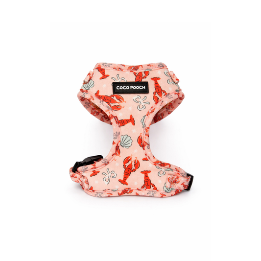 Lobster Love Dog Harness