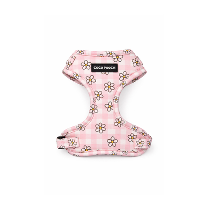 Blush Blooms Dog Harness