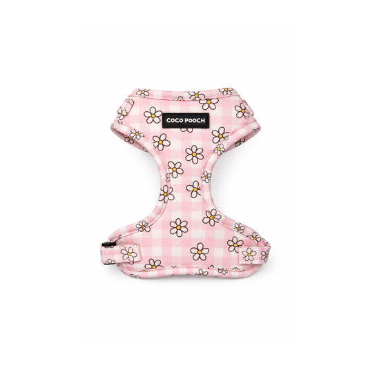 Blush Blooms Dog Harness