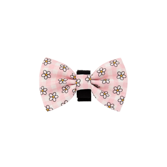 Blush Blooms Dog Bow Tie