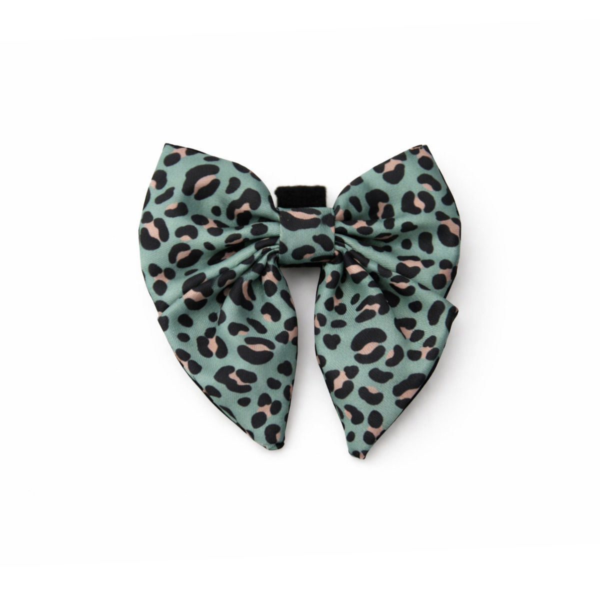 Sage Safari Dog Sailor Bow