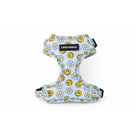 Sky Blooms Dog Harness