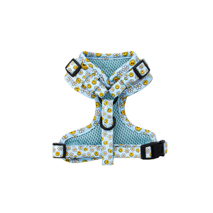 Sky Blooms Dog Harness
